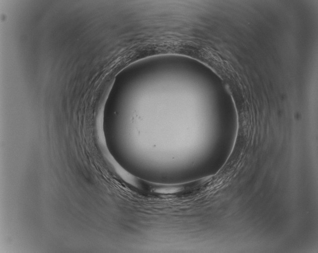 X0000067911057200604131338