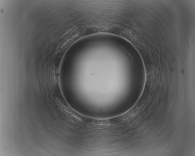 X0000067911058200604131338