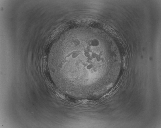 X0000067911059200604131338