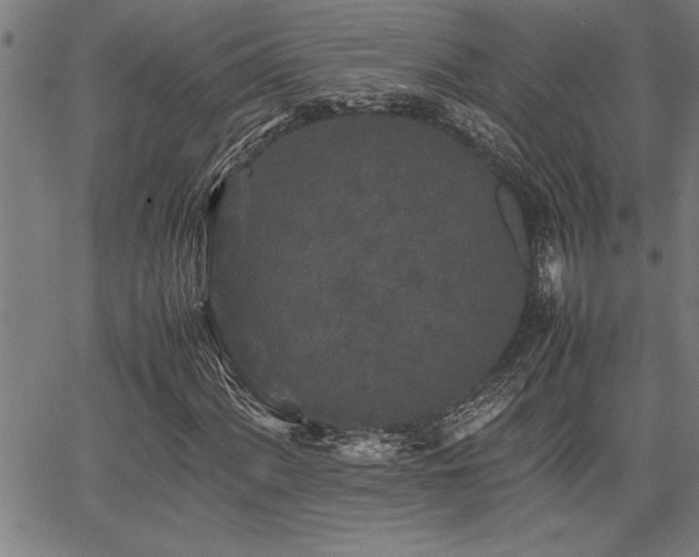 X0000067911060200604131338