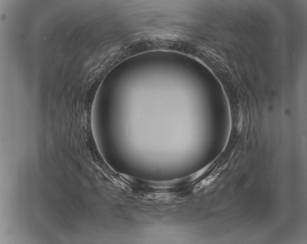 X0000067911061200604131338