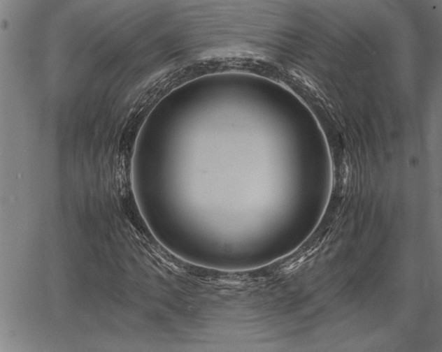 X0000067911062200604131338