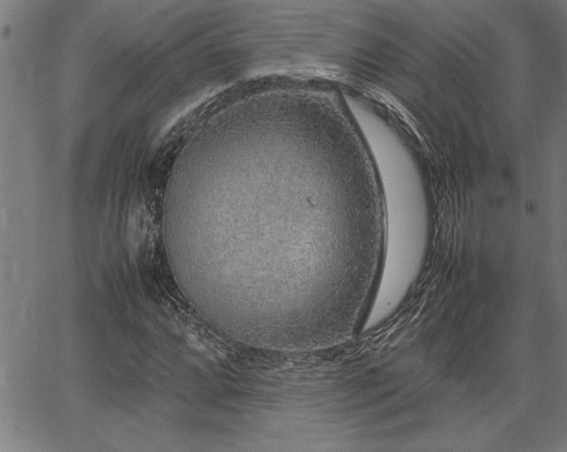 X0000067911064200604131338