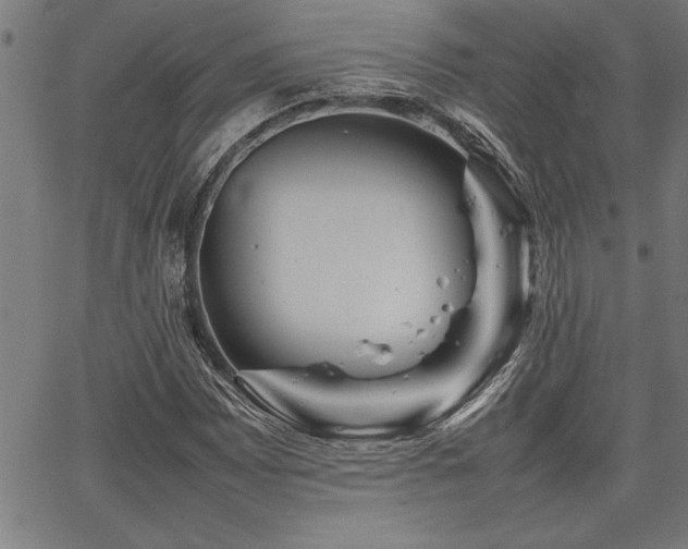 X0000067911065200604131338