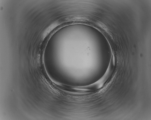 X0000067911066200604131338