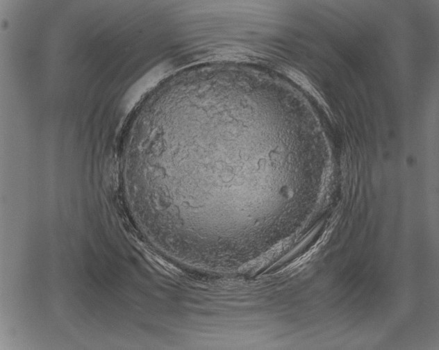 X0000067911067200604131338