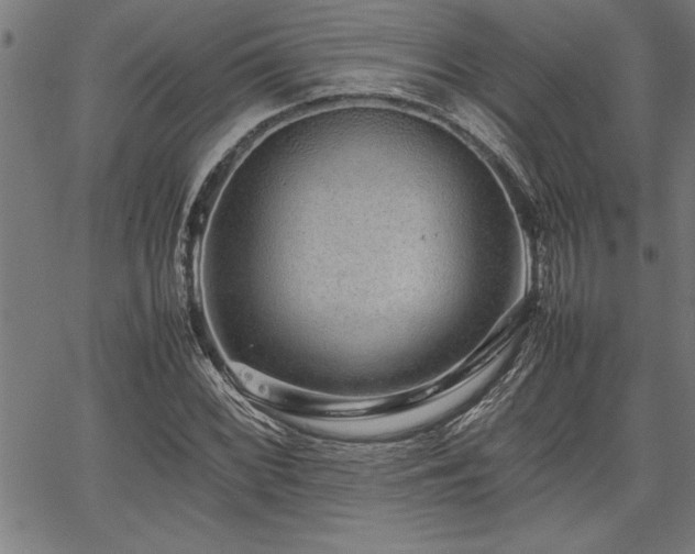 X0000067911068200604131338