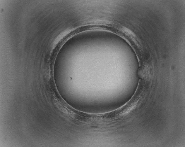 X0000067911069200604131338