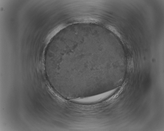 X0000067911071200604131337