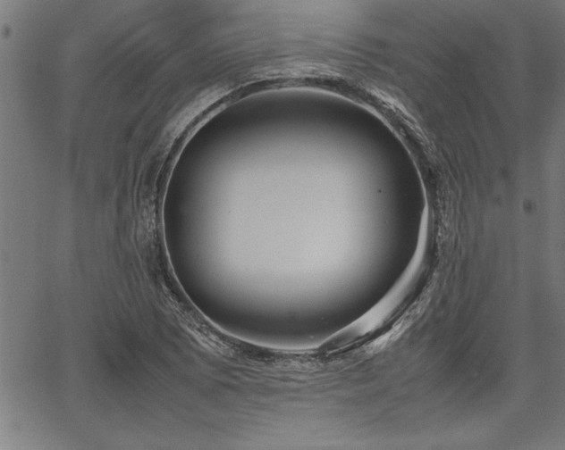 X0000067911073200604131337