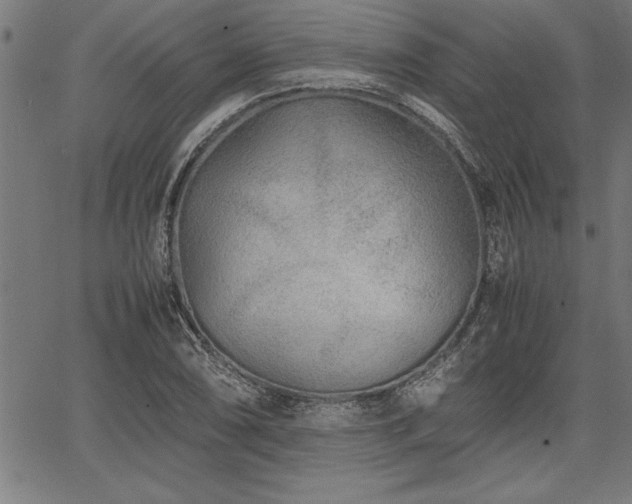 X0000067911074200604131337