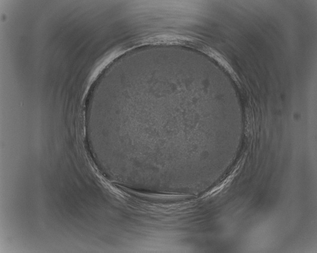 X0000067911075200604131337