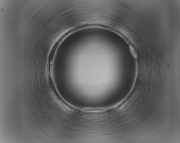 X0000067911076200604131337