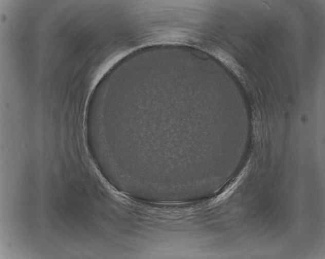 X0000067911077200604131337