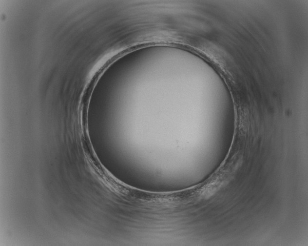 X0000067911078200604131337