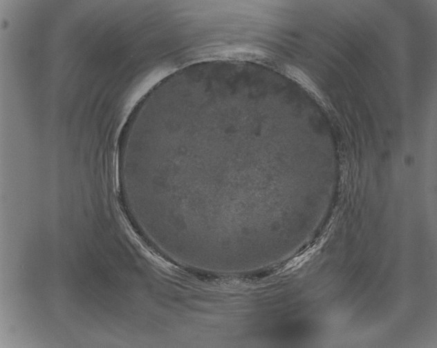 X0000067911079200604131337