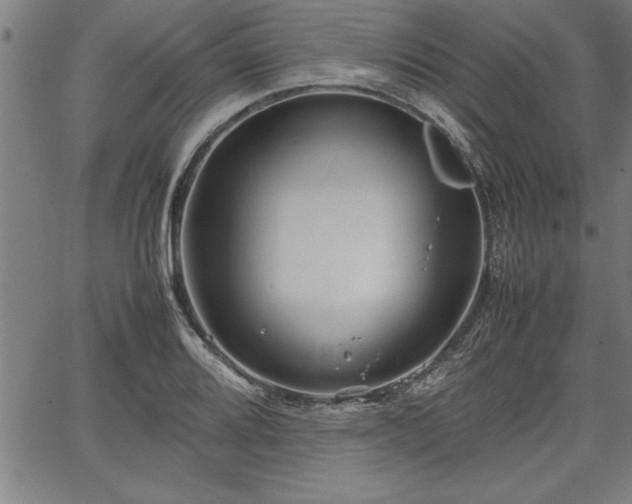 X0000067911080200604131337