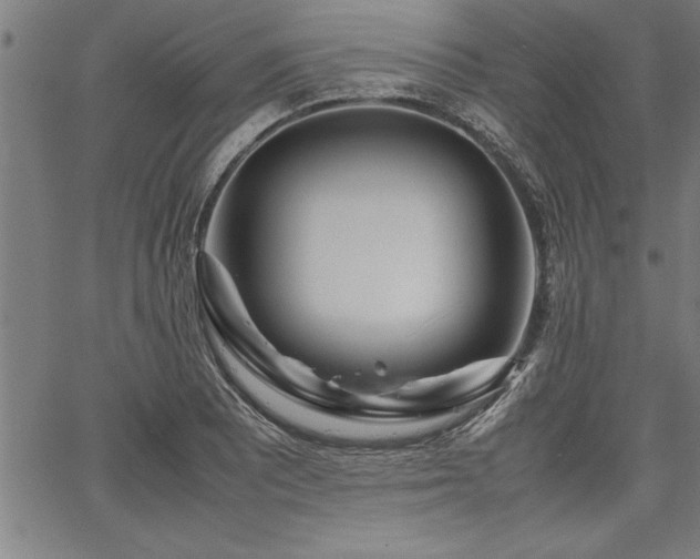 X0000067911081200604131337