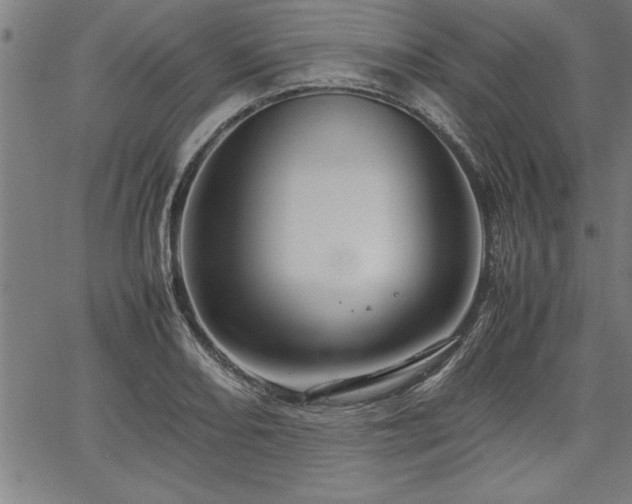 X0000067911082200604131337