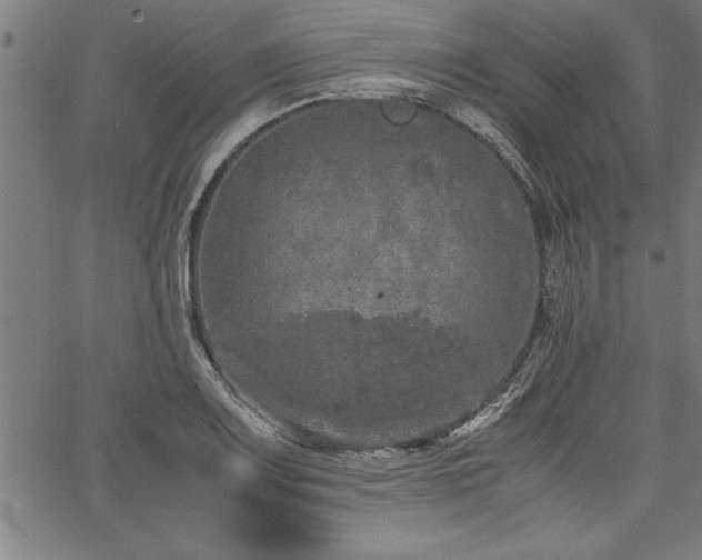 X0000067911083200604131337