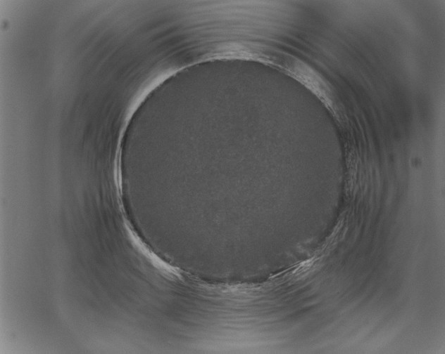 X0000067911084200604131337