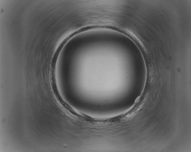 X0000067911085200604131337