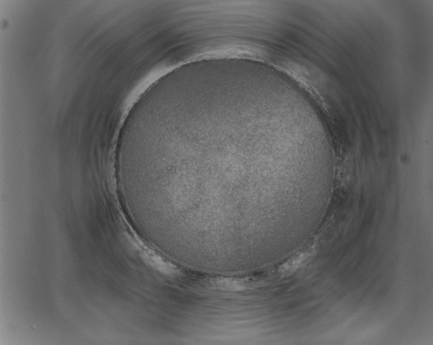 X0000067911086200604131337