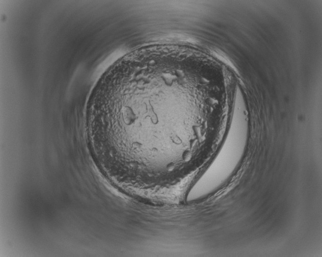 X0000067911087200604131337