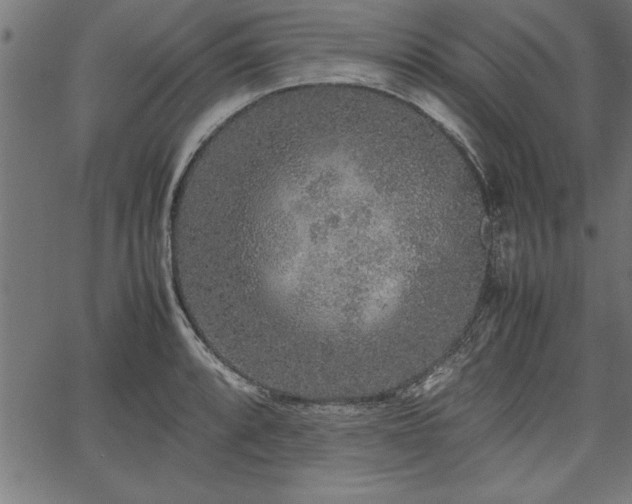 X0000067911088200604131337