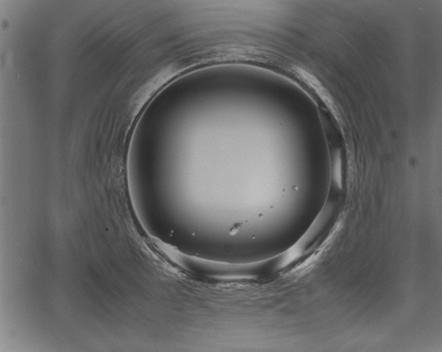 X0000067911089200604131337