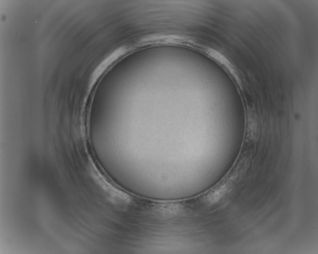 X0000067911090200604131337