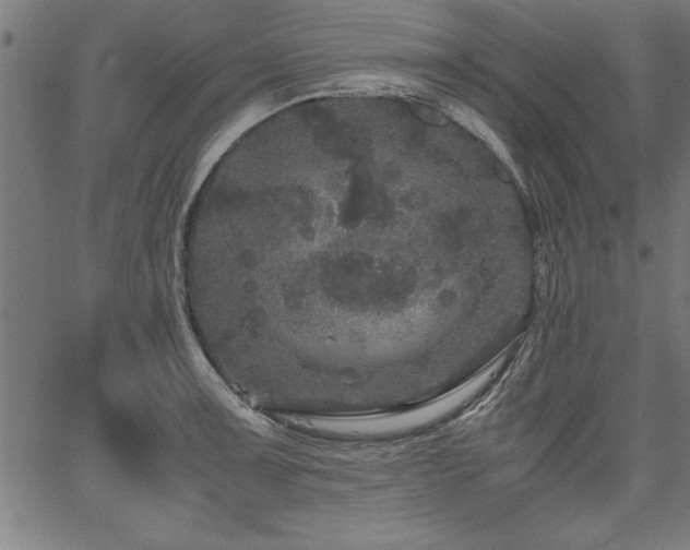 X0000067911091200604131337