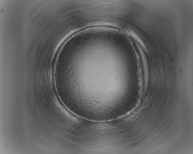 X0000067911092200604131337