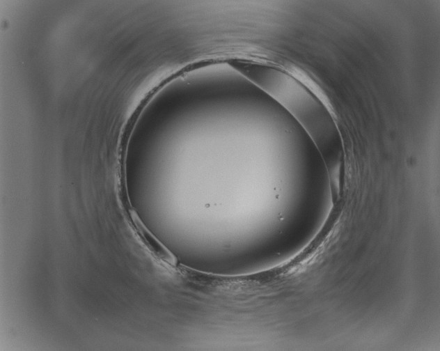 X0000067911093200604131337