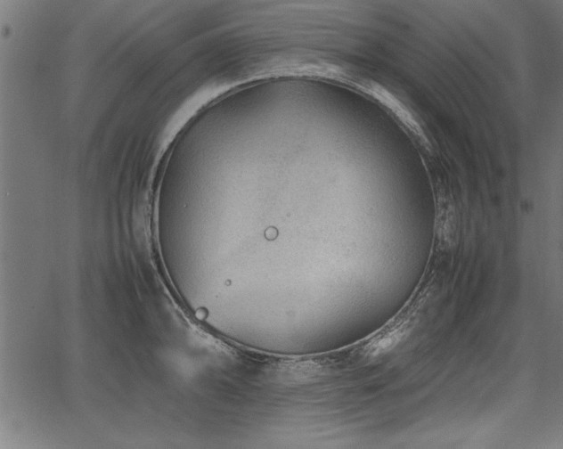 X0000067911094200604131337