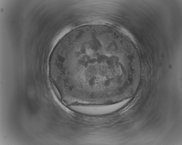 X0000067911095200604131337