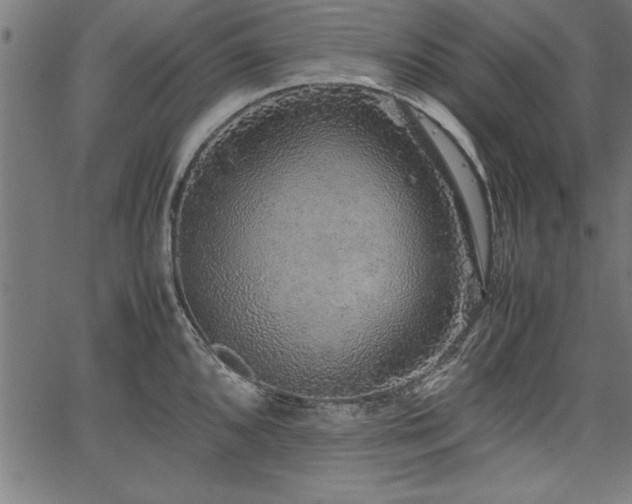 X0000067911096200604131337