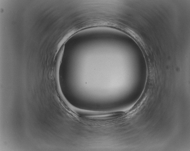 X0000067911097200604131337