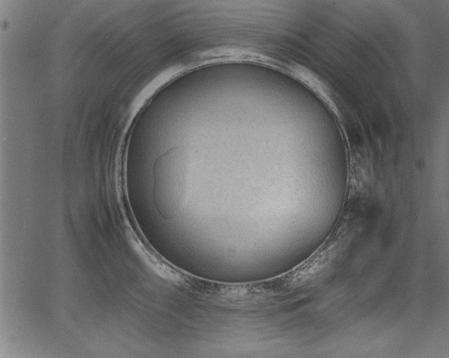 X0000067911098200604131337