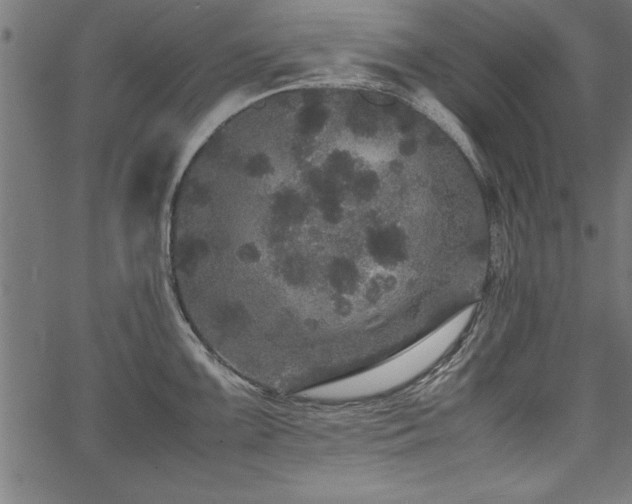 X0000067911099200604131337