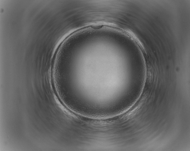 X0000067911100200604131337