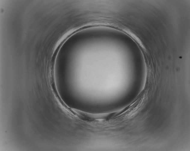 X0000067911101200604131337