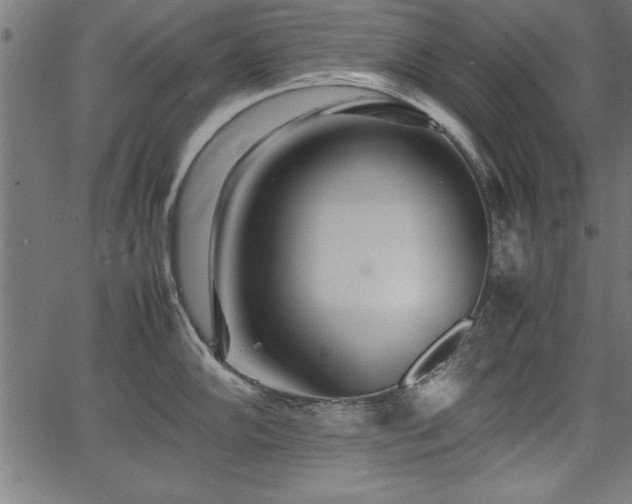 X0000067911102200604131337