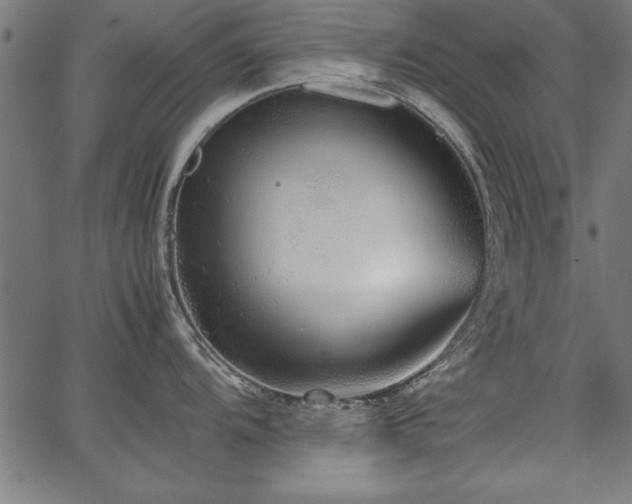 X0000067911104200604131337