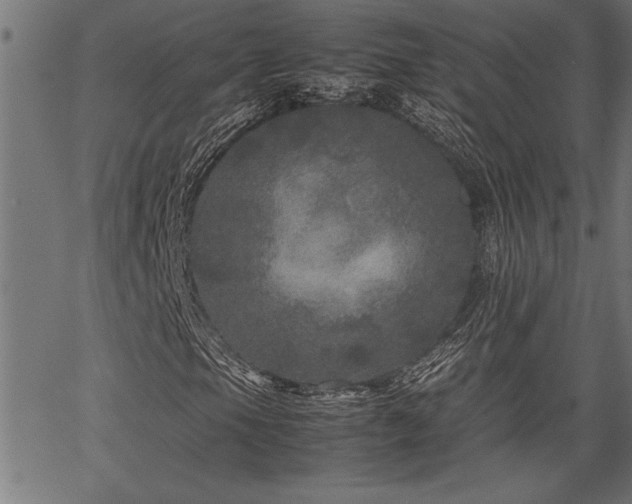 X0000067911105200604131336