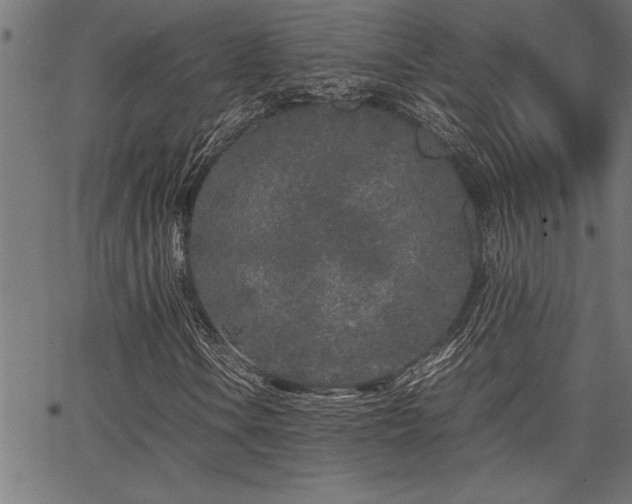 X0000067911106200604131336