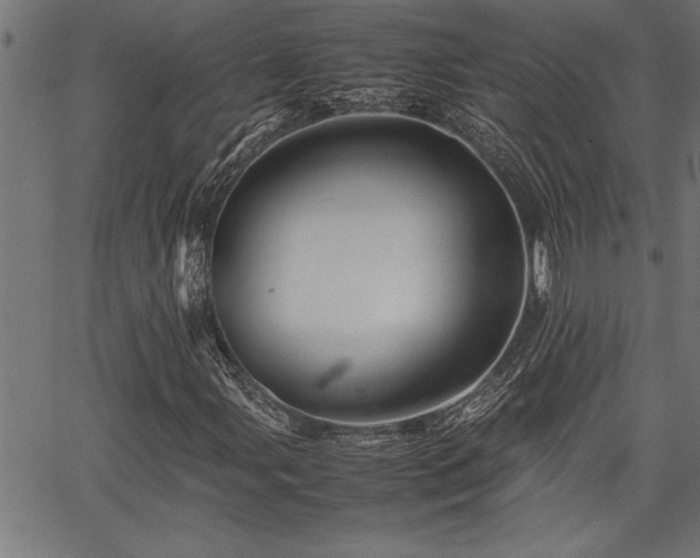 X0000067911107200604131336