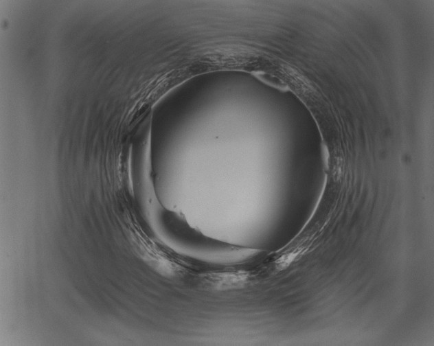 X0000067911108200604131336