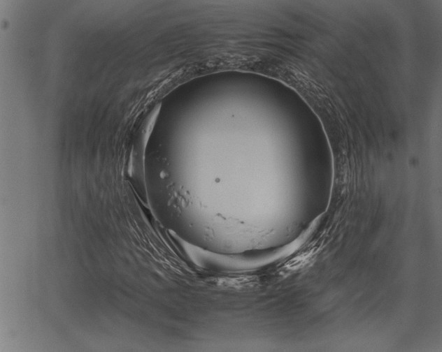 X0000067911109200604131336