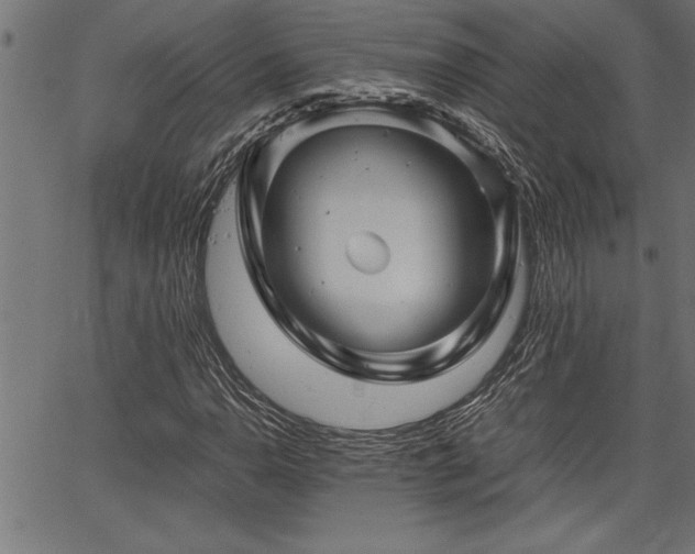 X0000067911110200604131336